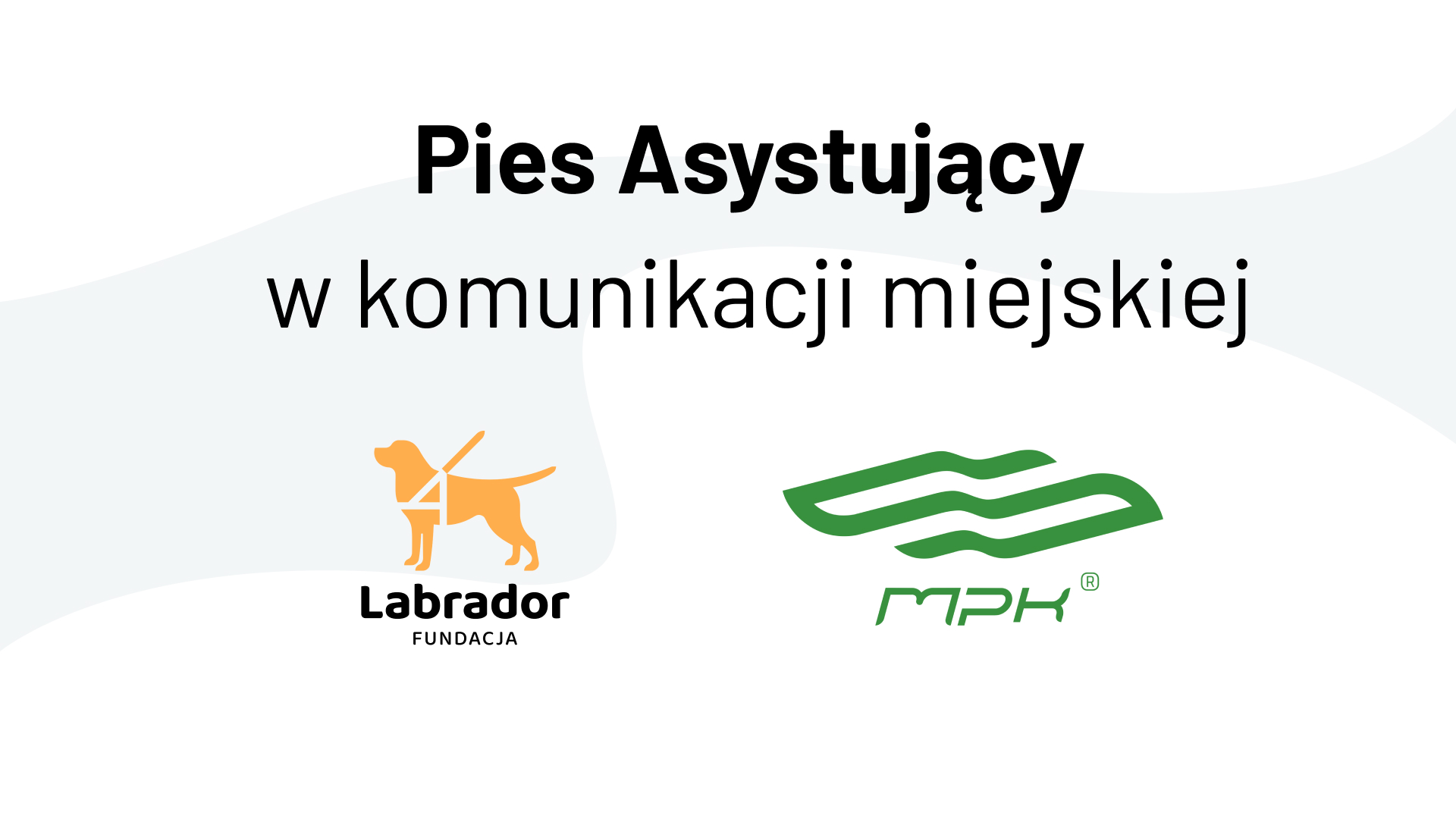 Pies Asystujący w komunikacji miejskiej - współpraca z MPK Poznań