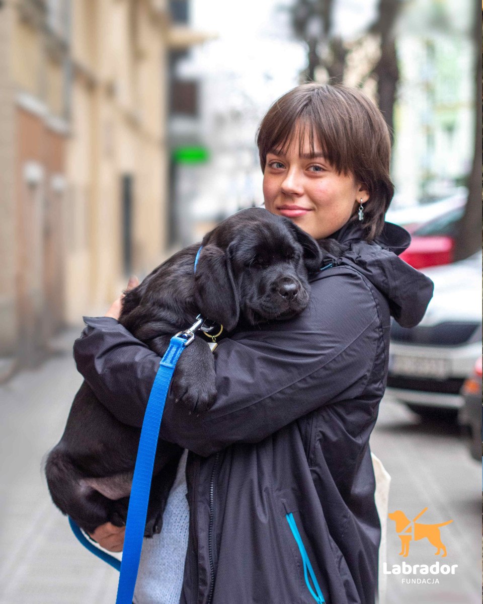 Lexi - Przyszły pies przewodnik