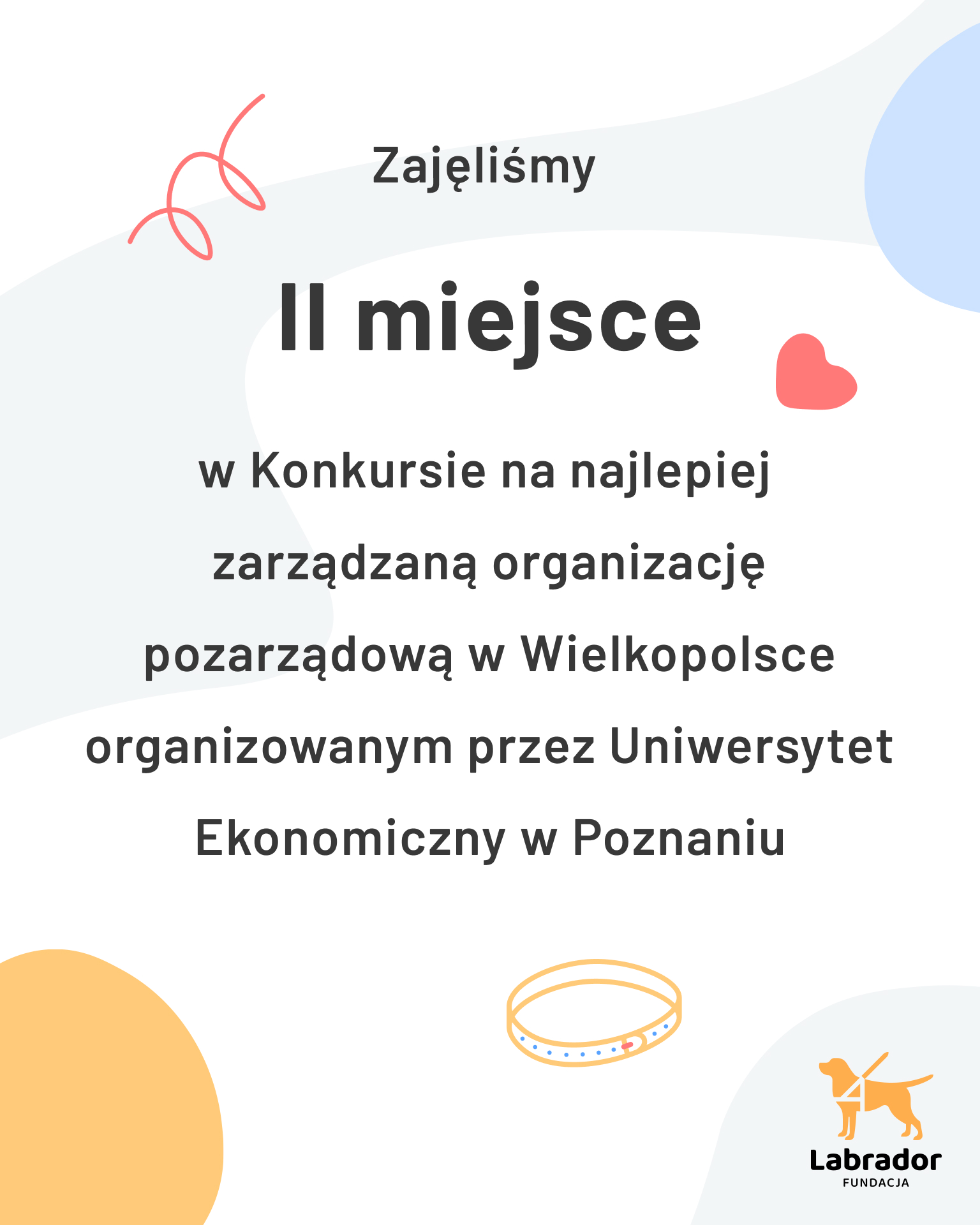 II miejsce w konkursie dla Fundacji Labrador