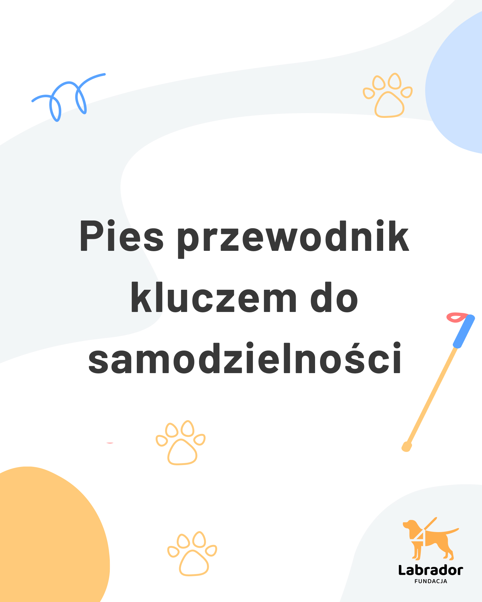 Pies przewodnik kluczem do samodzielności