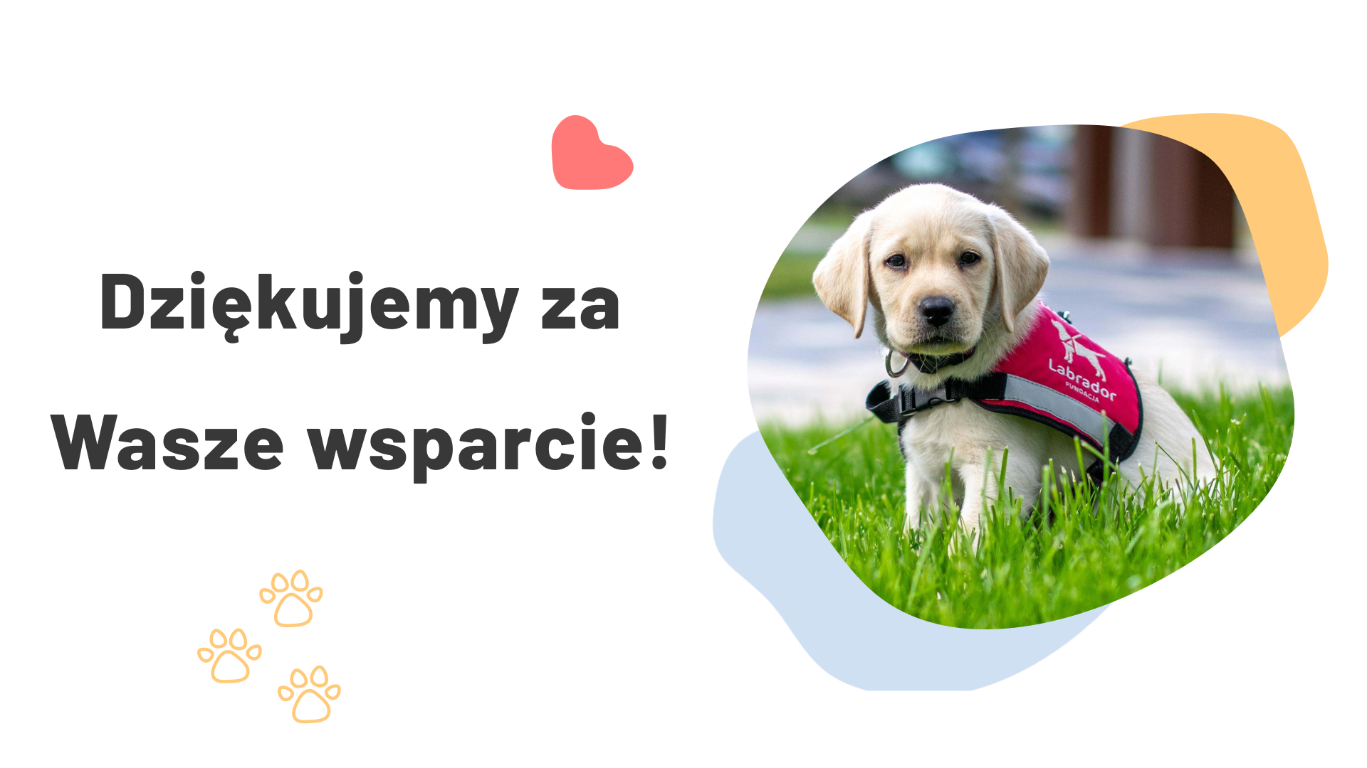 Dziękujemy za wsparcie!