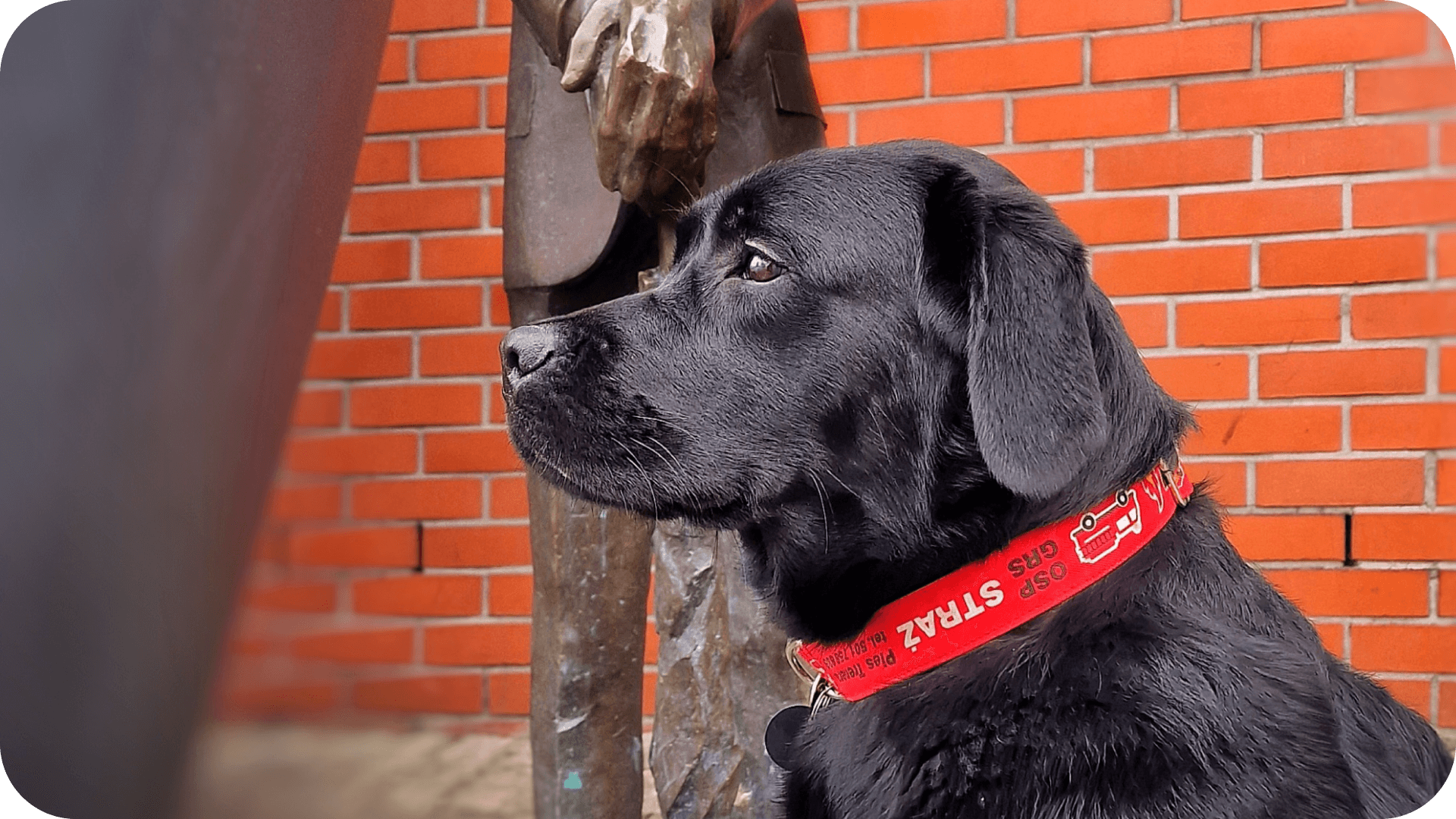 [Wolontariat] Monika i Inaya