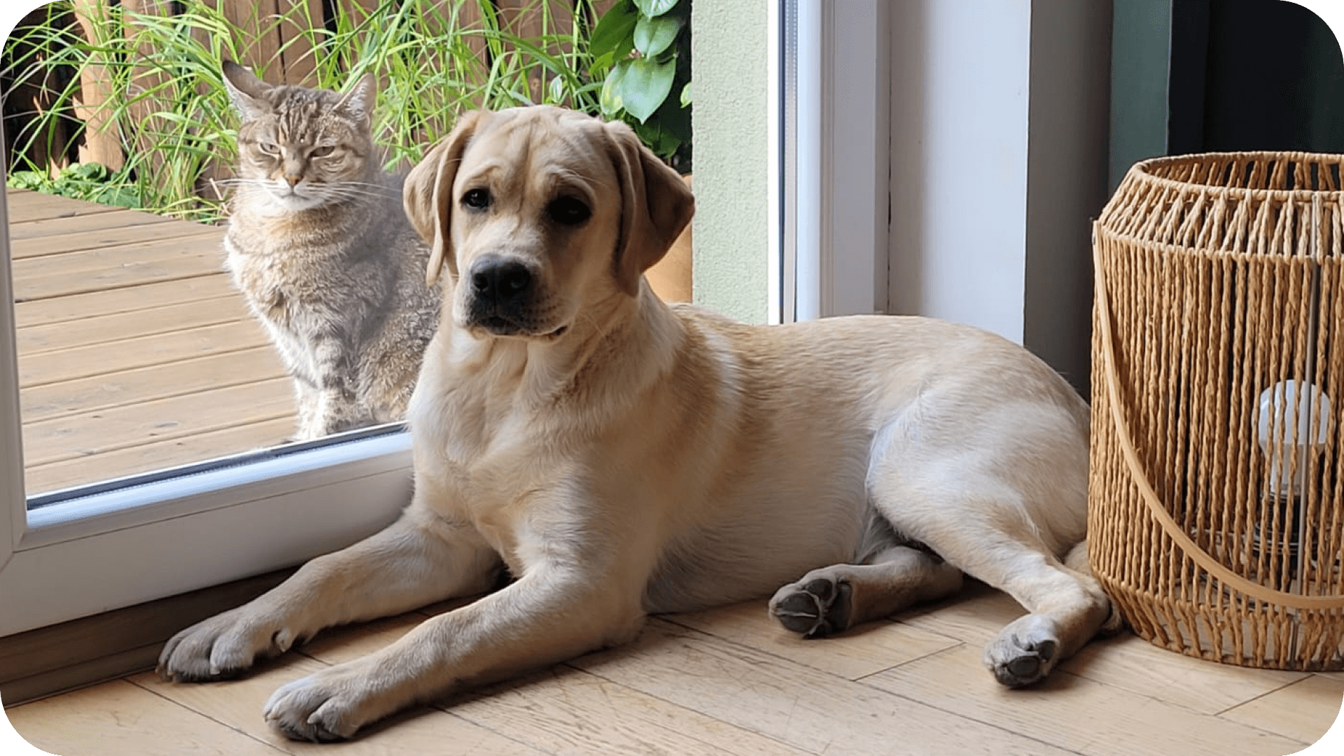 [Wolontariat] Ewa z Rodziną