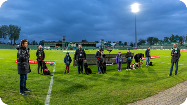 Współpraca z Wartą Poznań