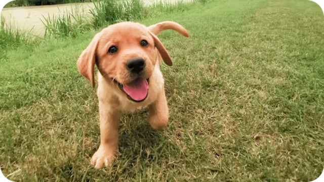 Nie zwlekamy, zaczynamy!