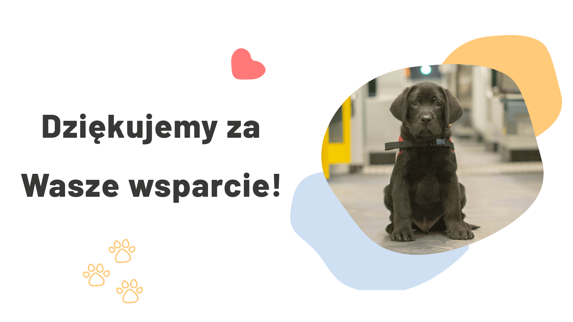 Cieszymy się, że jesteście z nami!
