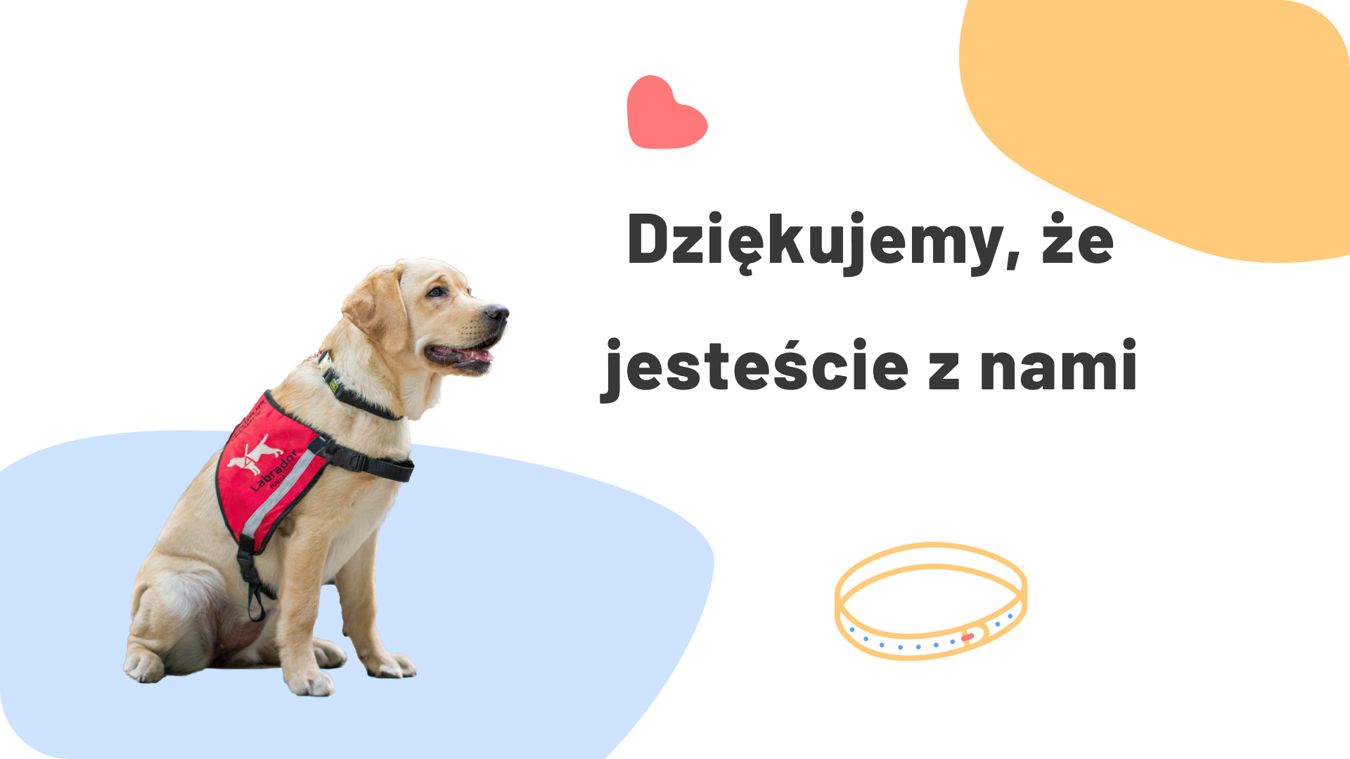 Dziękujemy, że jesteście z nami.
