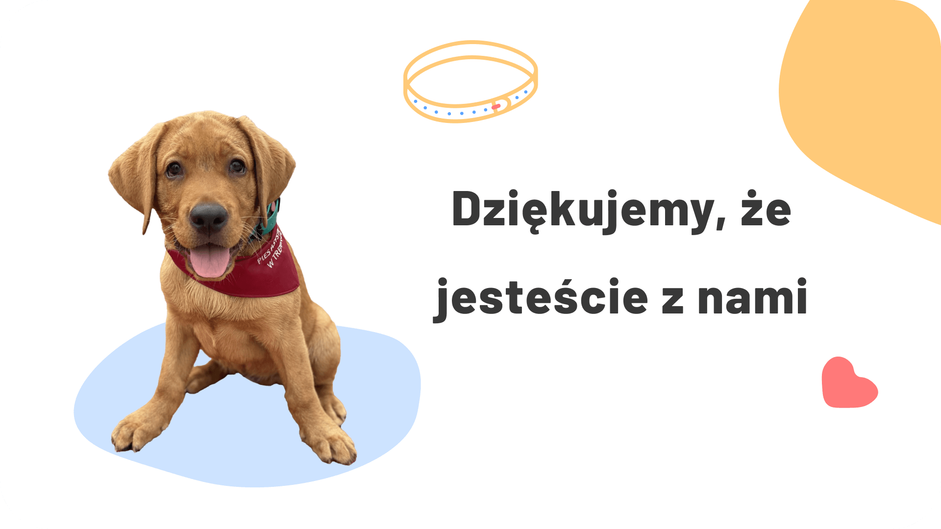 Dziękujemy!