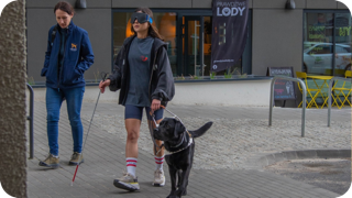 Nowe psy asystujące gotowe do działania!