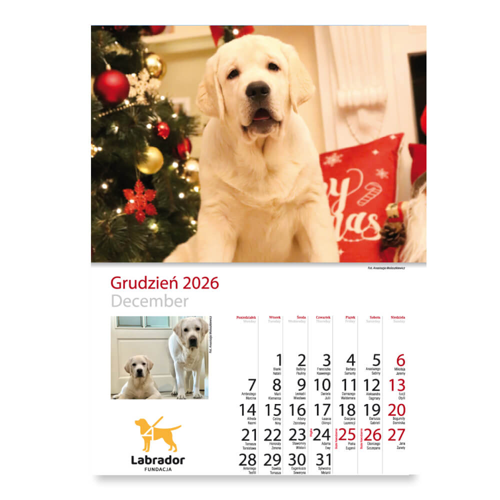 Kalendarz - miesiąc grudzień