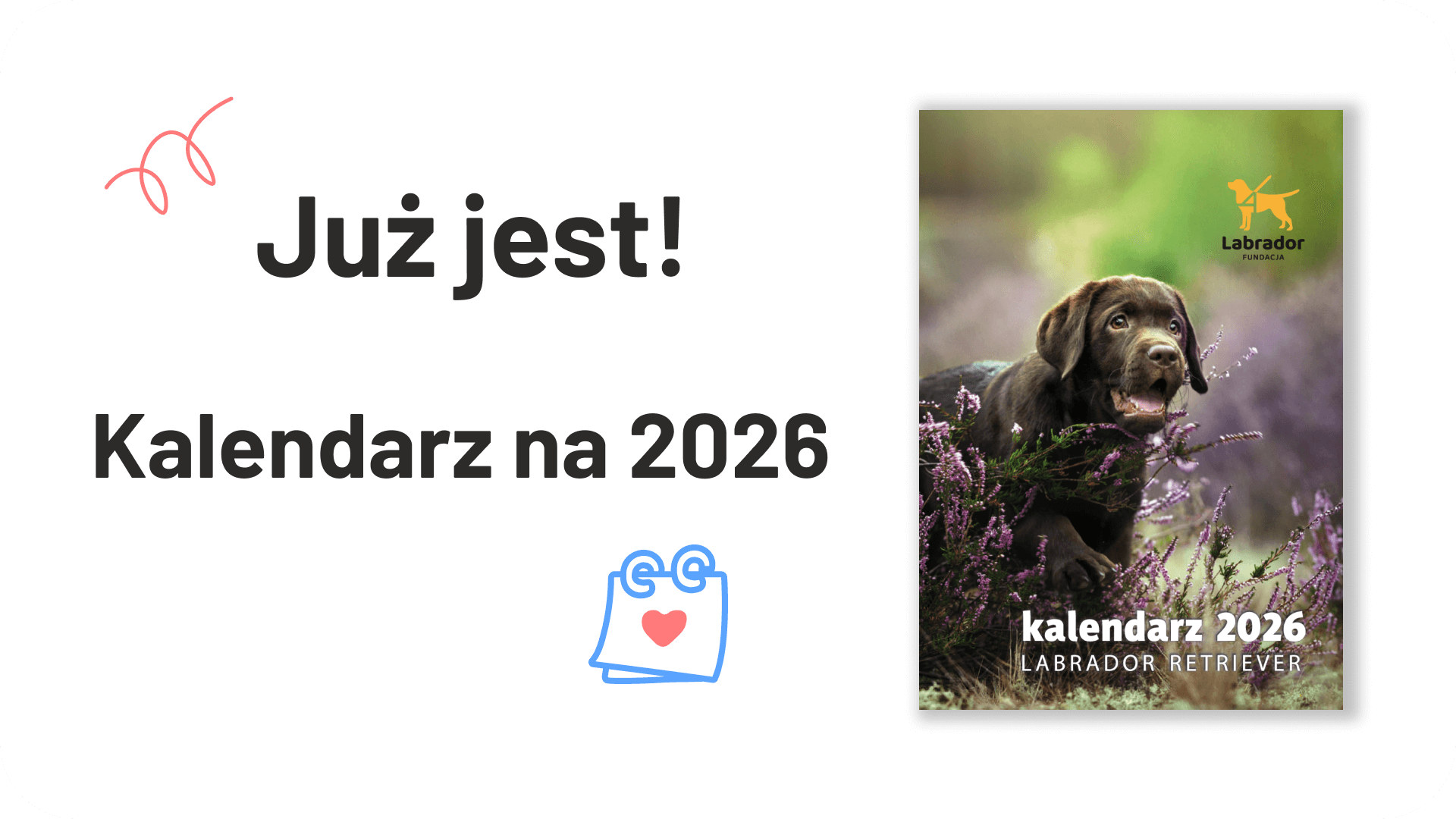 Kalendarz 2026 z labradorami pełnymi uroku!