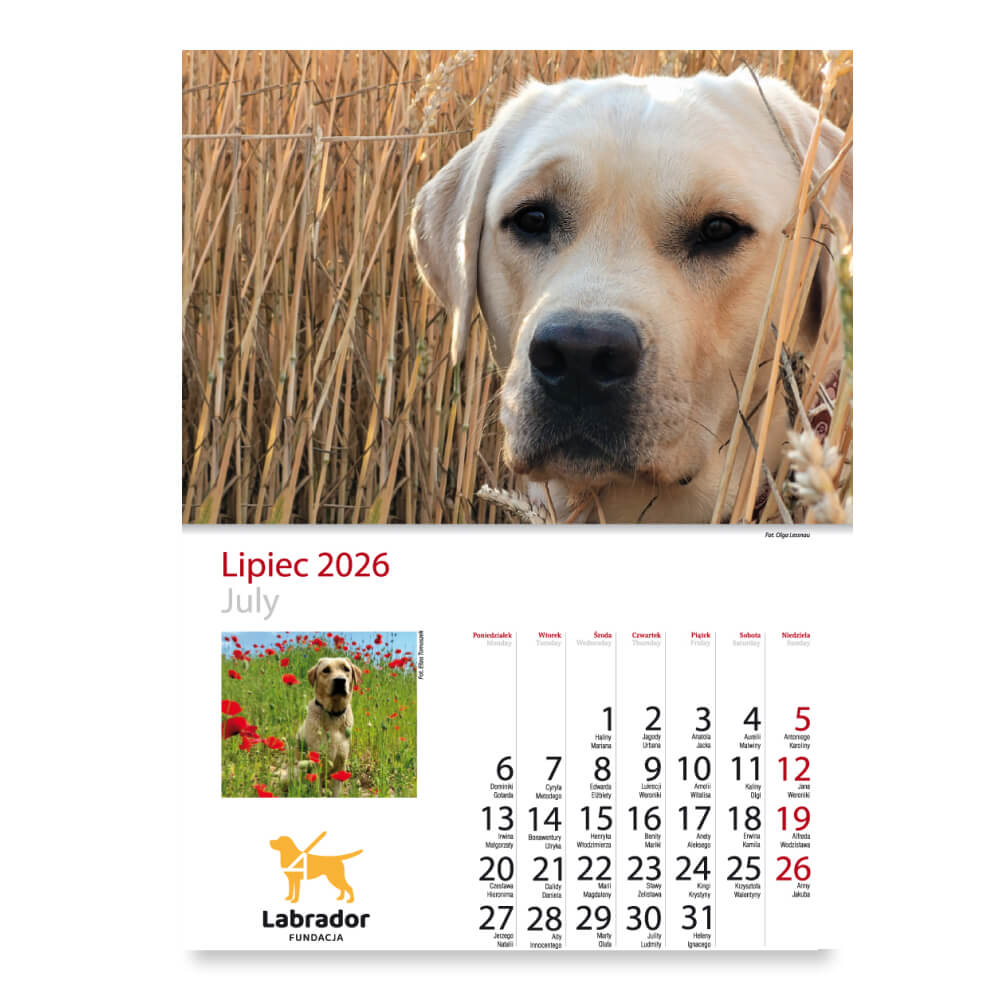 Kalendarz - miesiąc lipiec