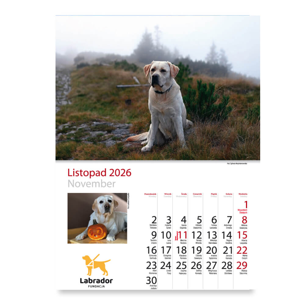 Kalendarz - miesiąc listopad