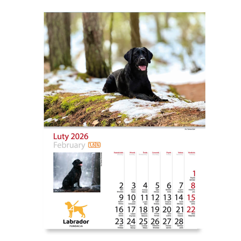Kalendarz - miesiąc luty