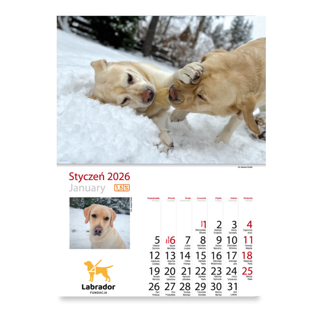 Kalendarz - miesiąc styczeń