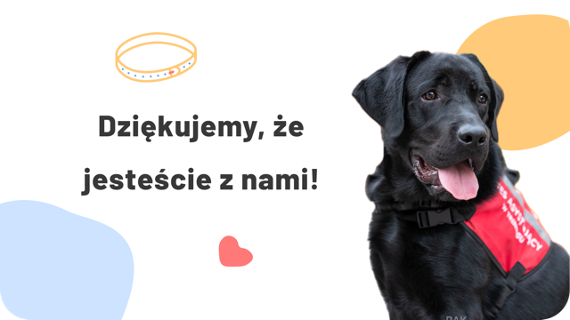 Dzwonek wzywa – czas na wdzięczność