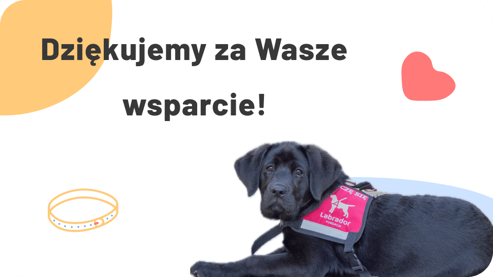 Dziękujemy naszym Superbohaterom!