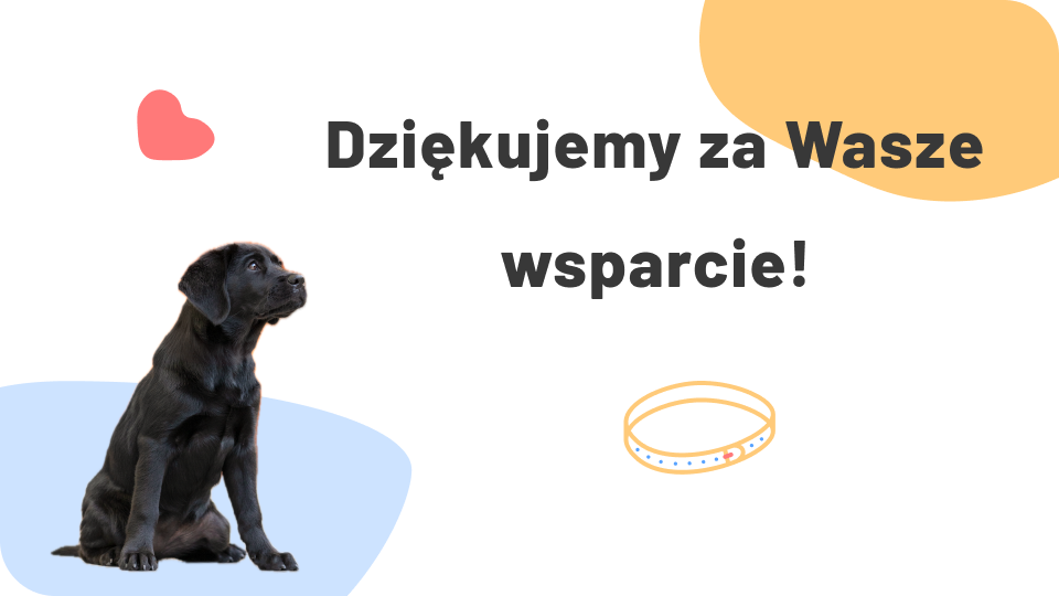Dziękujemy za wsparcie w wakacyjnym czasie