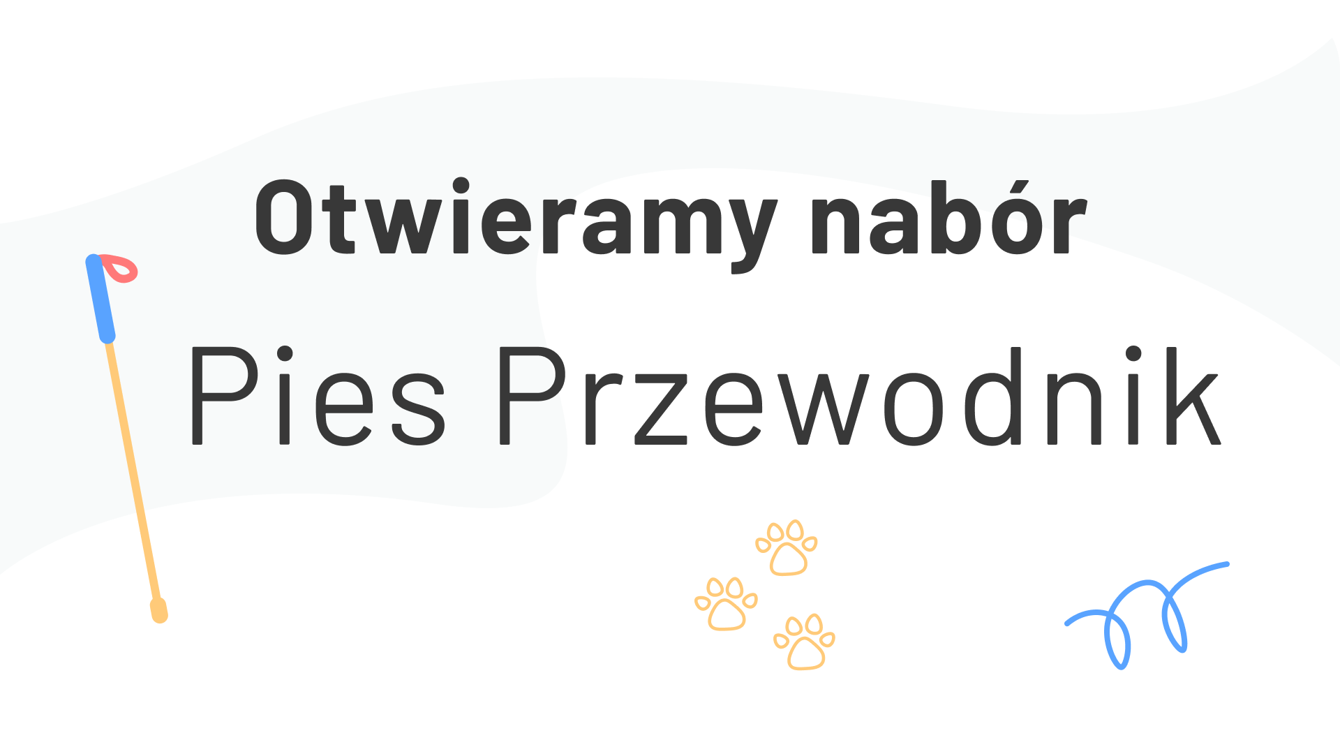 Pies przewodnik – krok do samodzielności