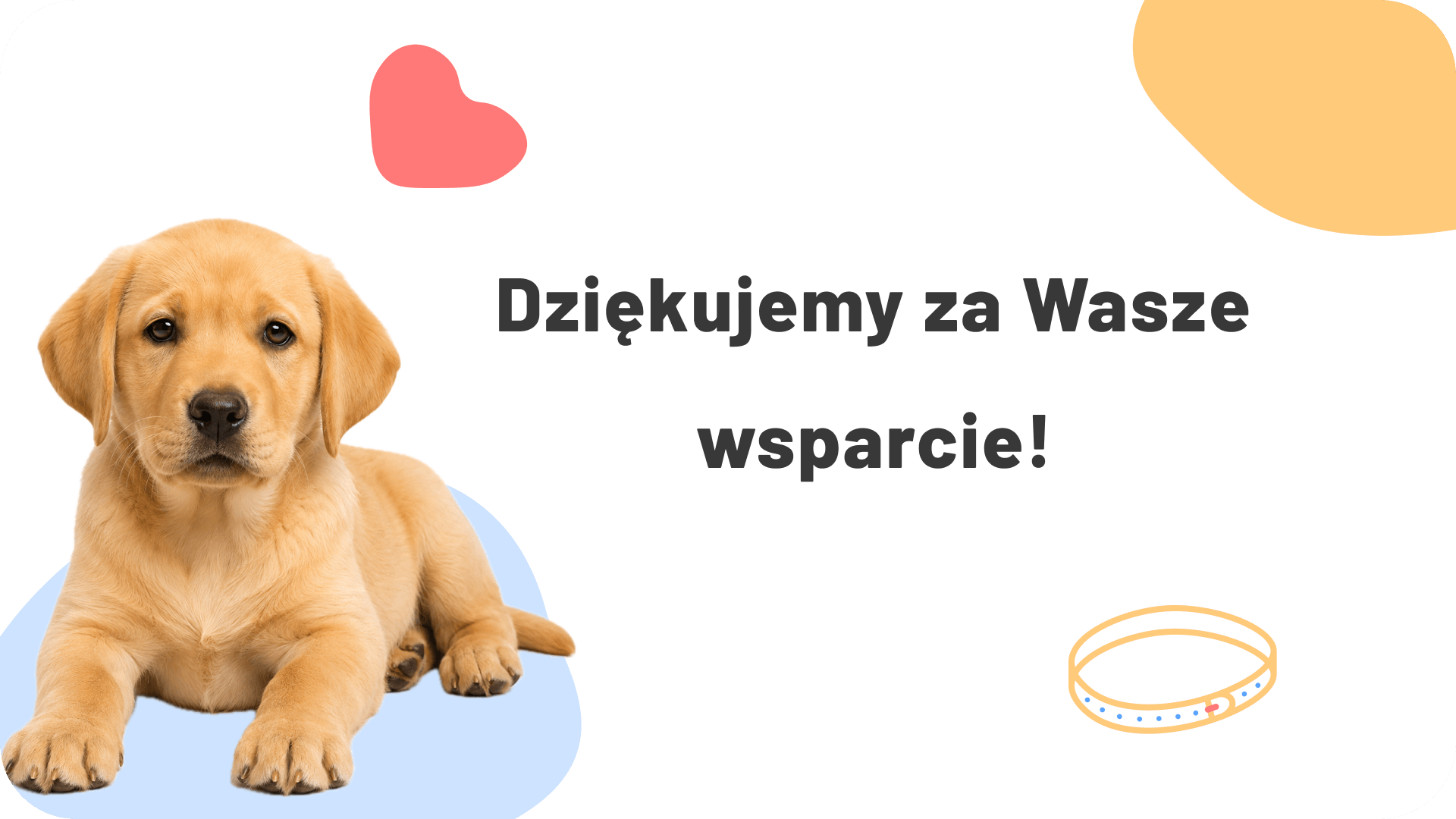 Dziękujemy za każdą przekazaną darowiznę