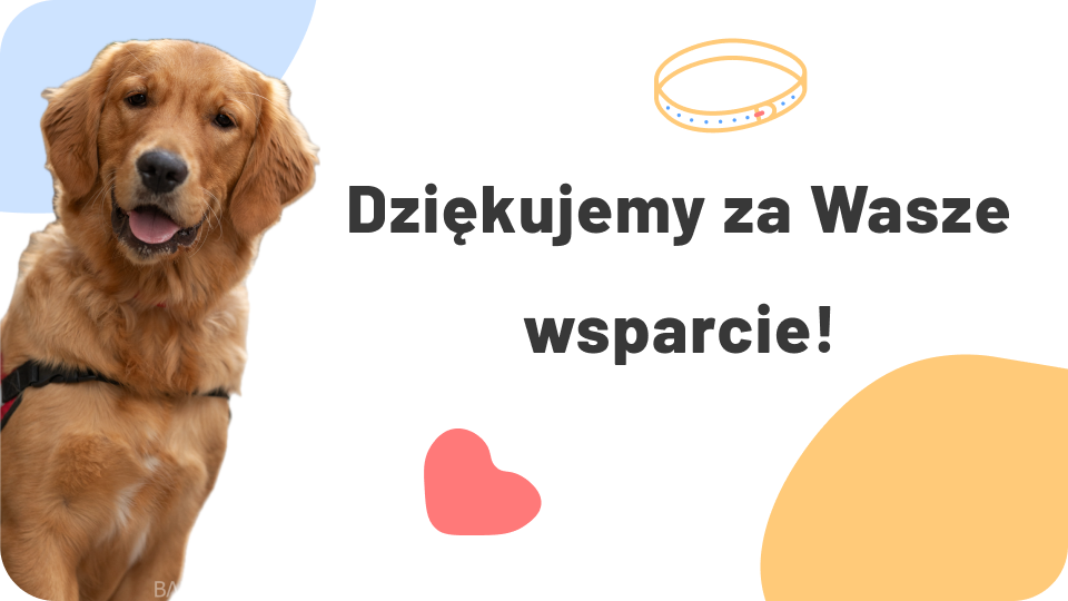 Regularność, która daje samodzielność