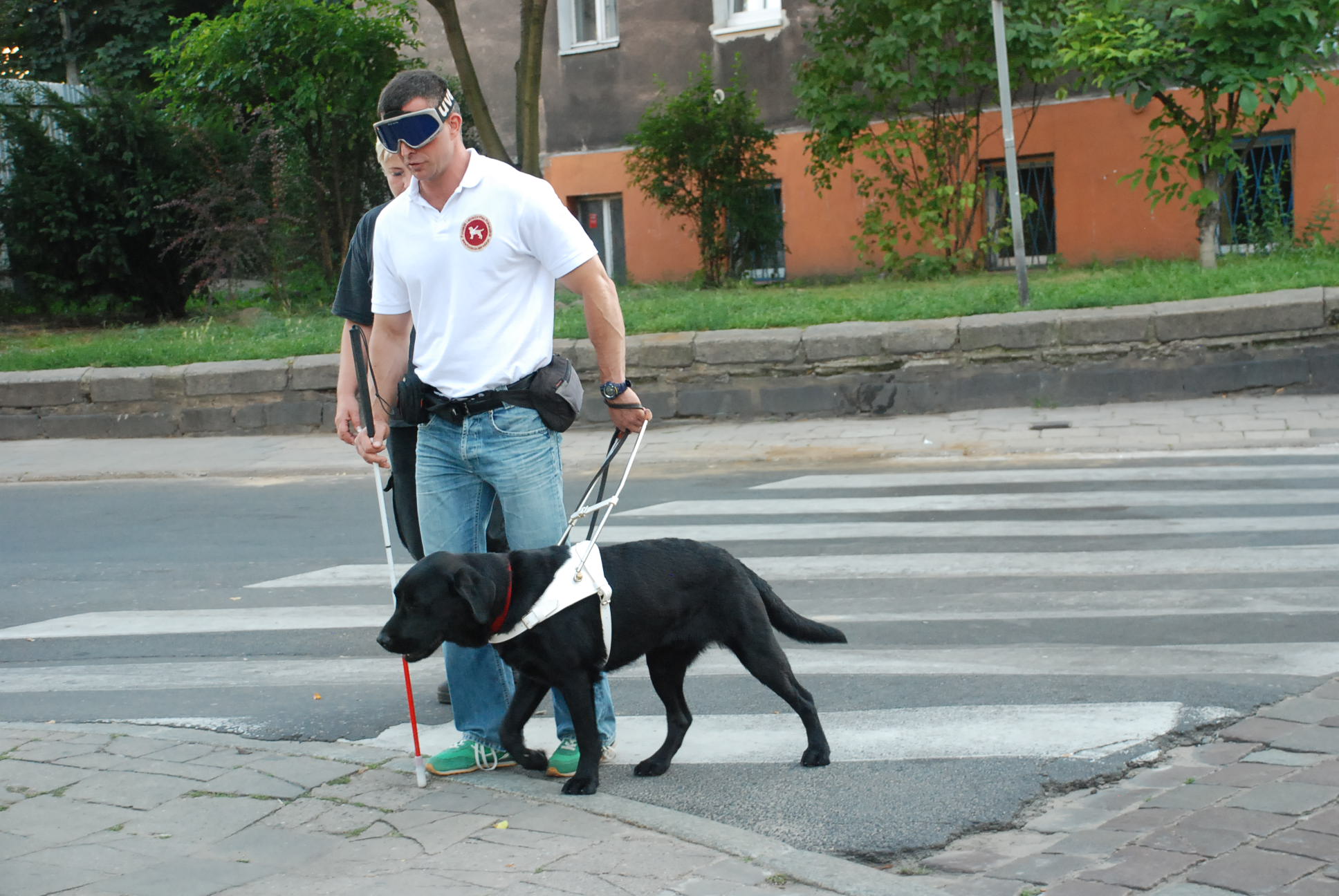 Egzamin - DAKAR 30.08.2013