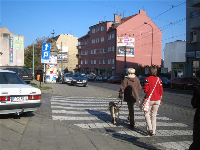 Egzaminy psów przewodników
