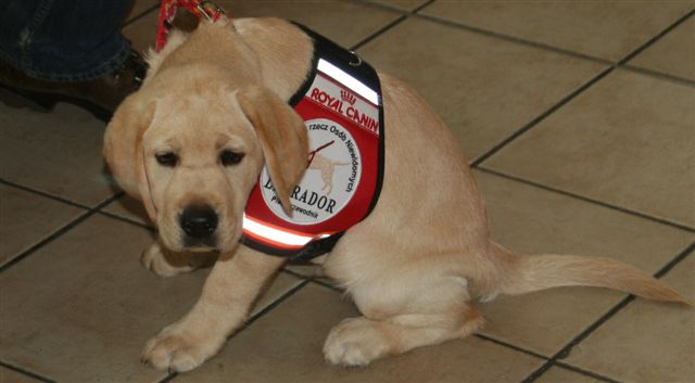 Pomóżmy razem w Poznaniu-M1 28.10.2008