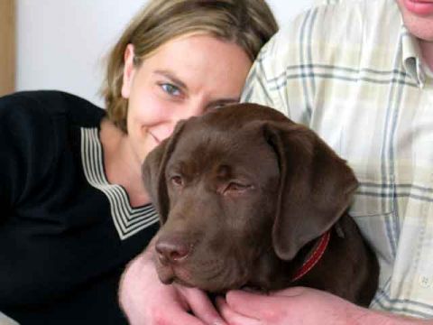 Wolontariusze z psami