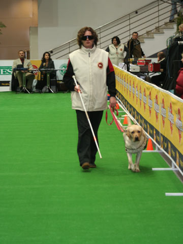 Wystawa Światowa w Poznaniu 9-12.11.2006 - Pokaz pracy psów przewodników na Wystawie Światowej