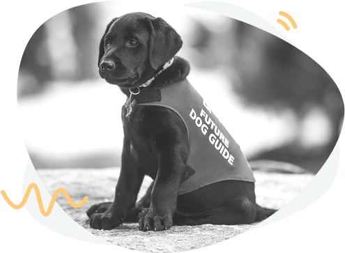 Jak można wesprzeć naszą fundację?